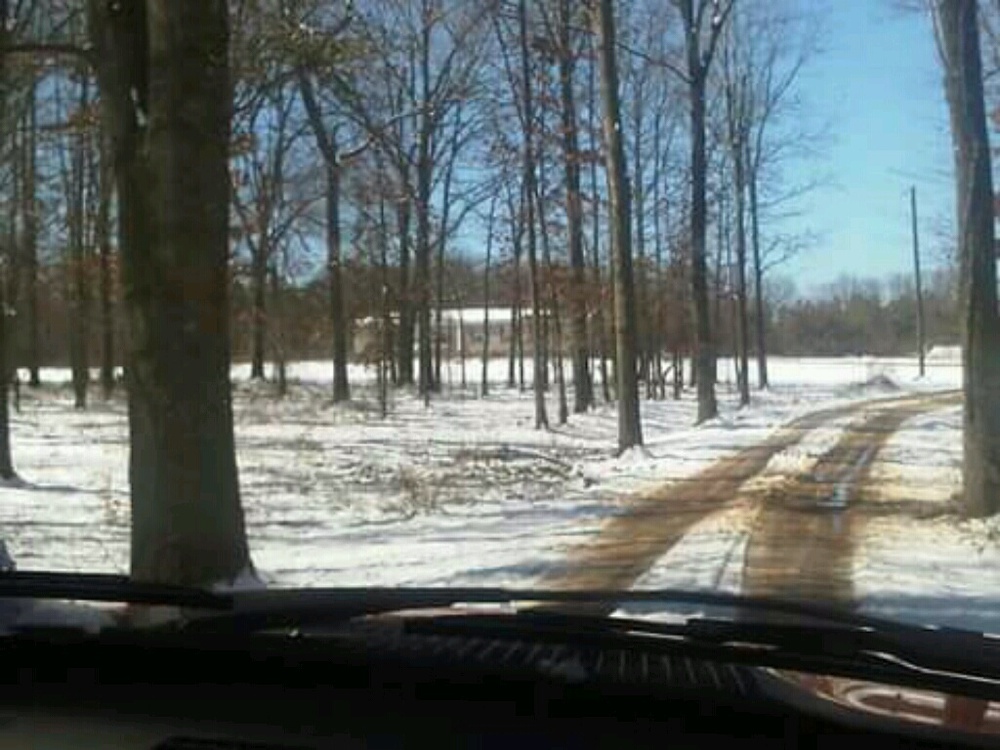 Meet your Posher, Dana